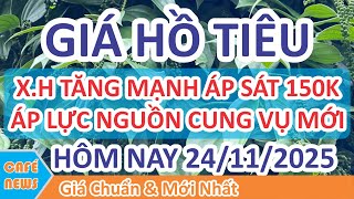 Download lagu Pepper price today November 24, 2025 | Pepper price maintains upward momentum, close to 150,000 V... mp3