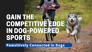 Gain the Competitive Edge in Dog-Powered Sports