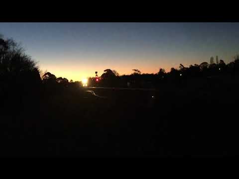 Pacific National wagon transfer train