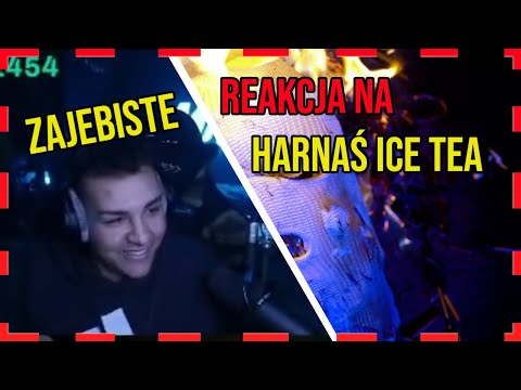 MERGHANI I YOUNG MULTI REAGUJE NA GAWRYLE - HARNAŚ ICE TEA 😎