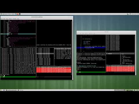 Debug itself demo