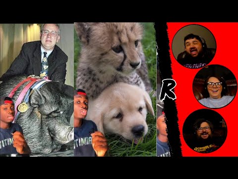 If You Haven’t Smiled Yet Today….. - @mndiaye_97 | RENEGADES REACT