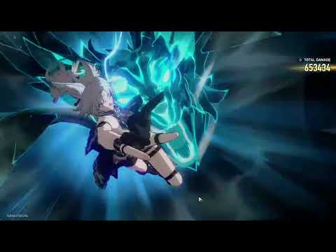 Feixiao: VICTORY IS INEVITABLE (x14)