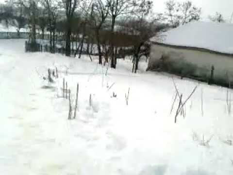 Cu sania prin Sprincenata