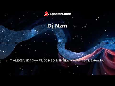 T  ALEKSANDROVA FT  DJ NED & SHTILYAN   AVTOGOL Extended