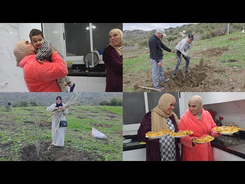 اخر نهار مع سعد قبل عودة وصال وعلي وجدنا الذ عشاء انا واختي فاطمة | طريقة غرس اشجار الزيتون 