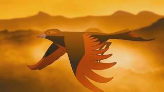 David Gilmour - Deafinitely (1978)