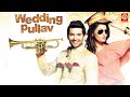 Wedding Pulav Hindi Full Movie Rishi Kapoor Anushka Diganth Karan V Grover Sonali Sehgal