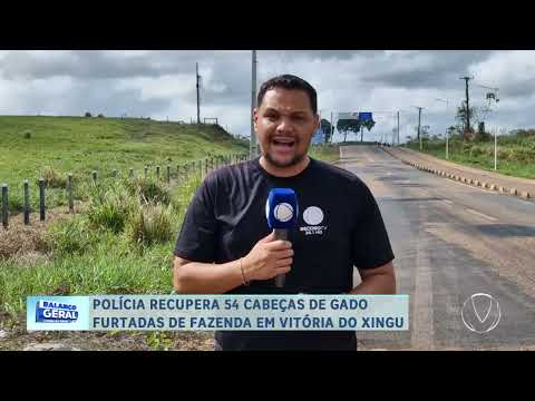 POLÍCIA RECUPERA 54 CABEÇAS DE GADO FURTADAS DE FAZENDA EM VITÓRIA DO XINGU