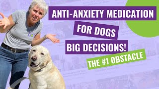 Anti-Anxiety Medication for Dogs – The #1 Obstacle to Saying YES!