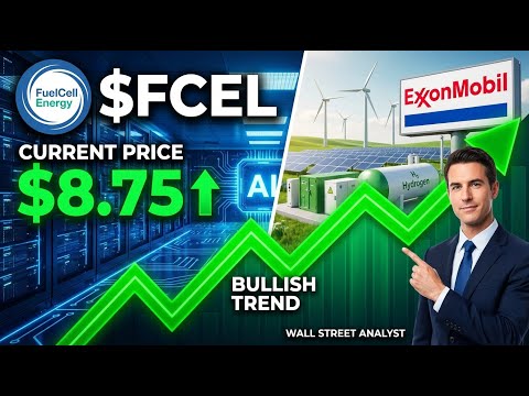 Fcel Ihub