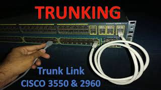 Configuring Cisco Trunk Ports - How to configure Trunk Port between Cisco Switch