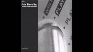 ENDE SHNEAFLIET - Twistin' On The Tombstones (Enfant Terrible + Trumpett  / 2006) FULL ALBUM