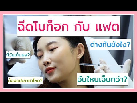 เมโส แฟต