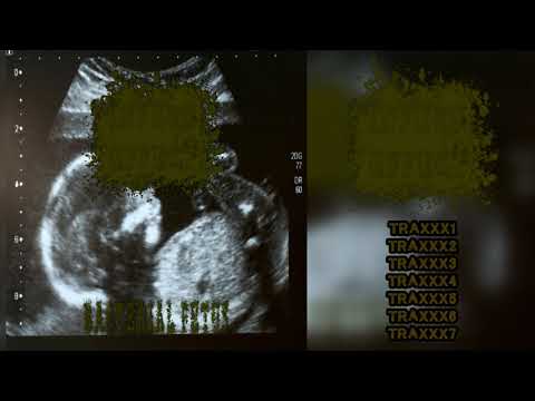 Infect Effect - Bacterial Fetus [FULL - GORENOISE VERSION] 2020