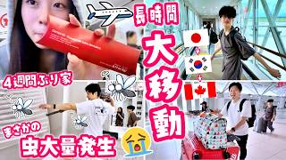 【大移動】4週間ぶりの我が家でまさかの大事件…！日本からカナダへ帰国したらトイレが大惨事に😱🚽仁川空港で6時間トランジット✈️