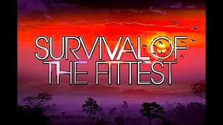 &quot;Survival of The Fittest&quot; - A Hollies cover by Crystal Drive (live 1973)