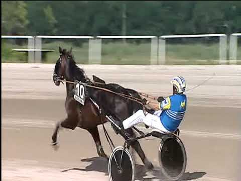 Trotto 13/06/2019 - 5ª corsa