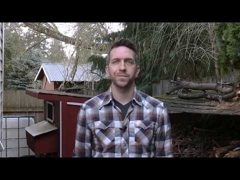 download lagu mp3 mp4 Resilient Living, download lagu Resilient Living gratis, unduh video klip Download Resilient Living Mp3 dan Mp4 Youtube Gratis