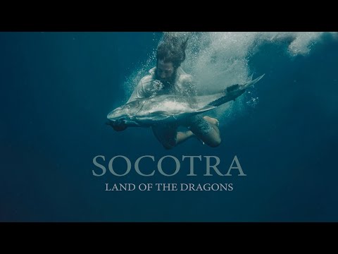 BKK - Socotra - Wild Sea Expedition - Full Movie