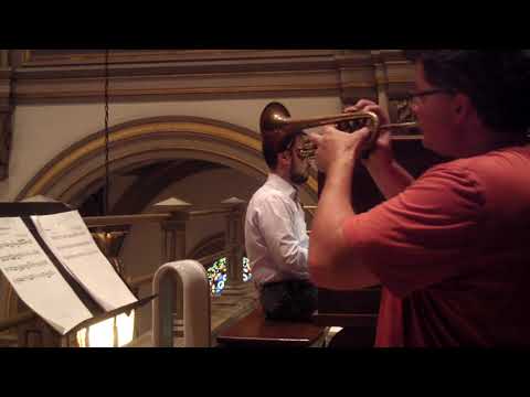 Albinoni Sonata St. Marc. 3rd. movement performed by Brian Strawley ZOOM0013