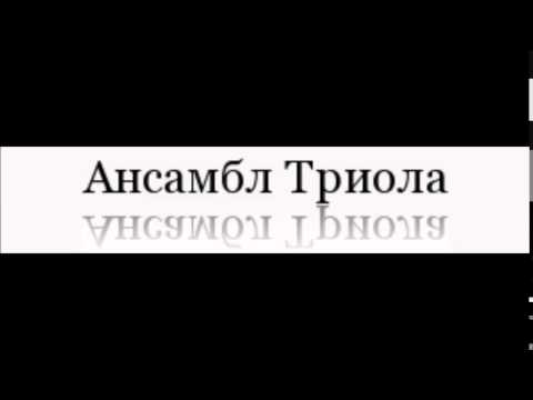 Ansambl Triola -- Muzikant