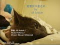 [中字] Too Cool to Fall in Love 拒愛於千里之外 by Jill Sobule