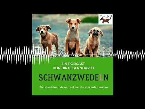 62 Zahnreinigung beim Hund - Schwanzwedeln