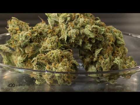 420 Central | Benefits of Indica Strains