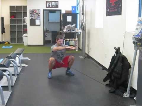 Cable Hip Belt Squats