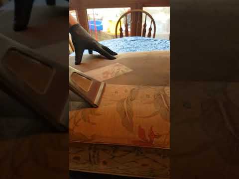 Surroundings Carpet & Upholstery Cleaning video.
