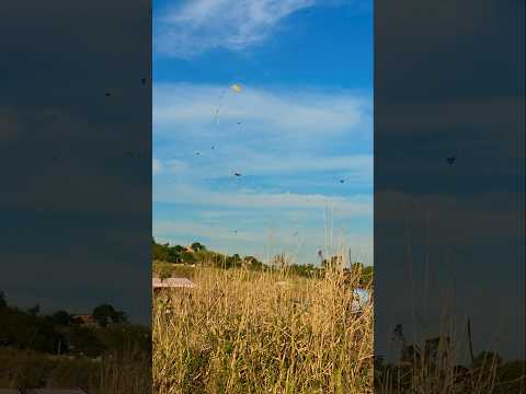 Festival de Pipas Serra Alta 2025 / Festival de Pipas na Serra Alta RJ #pipa #festivaldepipa #pipas