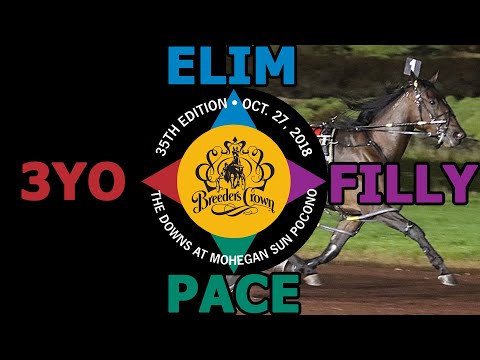 2018 Breeders Crown Elim - YouaremyCandyGirl - 3YO Filly Pace