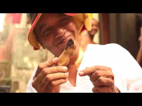 EDY VOX - O Reggae da Rocinha (Clipe Oficial)