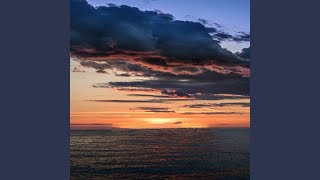 Download lagu Jungle Dutch mp3 Download lagu Jungle Dutch mp3