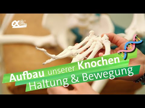 Sanatoriumsbehandlung von Gelenken in Carlsbad Kaufen Balsam PS für Gelenke in Jekaterinburg