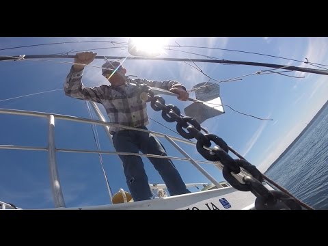 Delta Anchor Testing. Anchor Video #70.