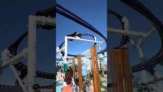 A rollercoaster on a cruise ship!?#carnivalmardigras #bolt #youtubeshorts #2025