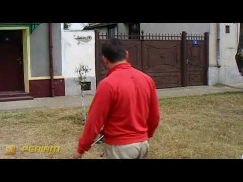 Ingerii pazitori din Periam