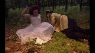 Videoklip Alkehol - Houbová s textom piesne