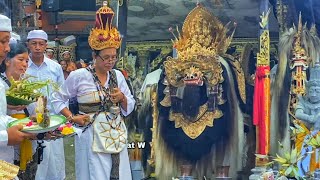 Download lagu Caru Taur Agung Labuh Gentuh, Puncak Karya Agung,Pura Puseh Jagat Tanggahan Peken, Susut Bangli Bali mp3 Download lagu Caru Taur Agung Labuh Gentuh, Puncak Karya Agung,Pura Puseh Jagat Tanggahan Peken, Susut Bangli Bali mp3