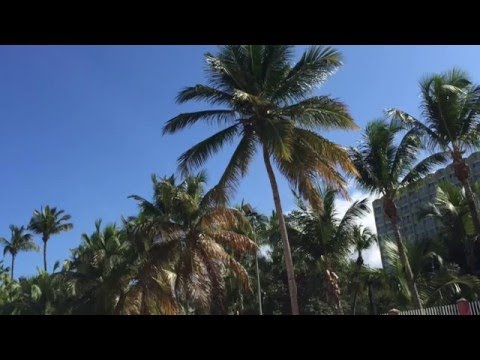 HLMusic TOP REGGAETON MIDDLE TEMPO FREE TRACK 2016 latin mix instrumental DJ 無料トラック　レゲトン