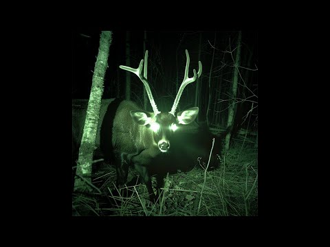 [FREE] Post Punk x Alternative x Cold Wave Type Beat - ‘NO FUTURE’