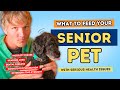 Senior Dog Simple Kitchen Foods For Senior Dog Health Problems