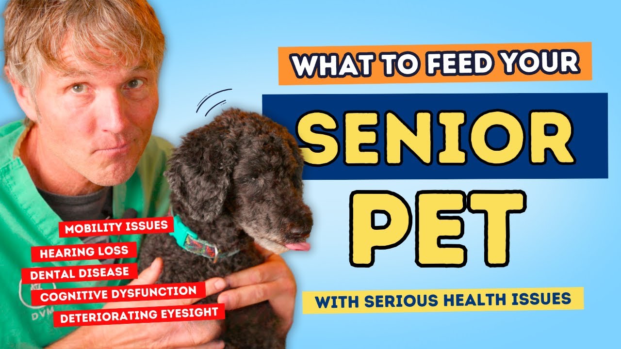 Senior Dog: Simple Kitchen Foods for Senior Dog Health Problems