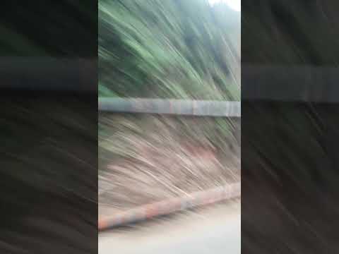 Chivas de san José del palmar parte 2 viaje 2