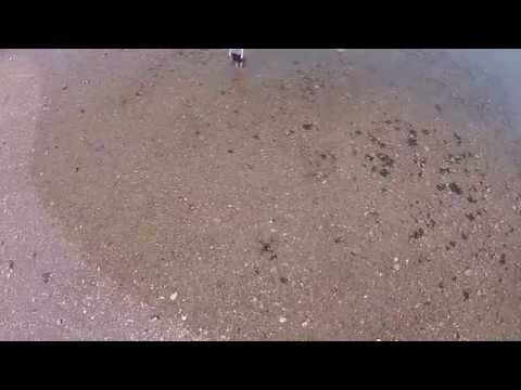 South Boston beach view from a drone