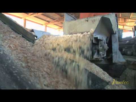 Máquina de Maravalha Vantec