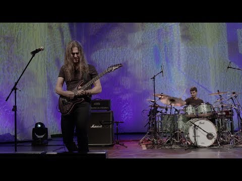 Pau De Arara video