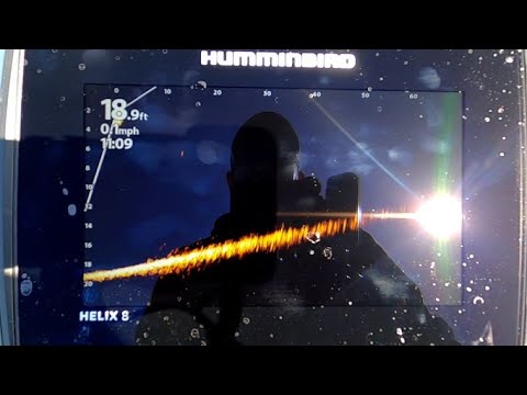 Dial in your Mega Live settings